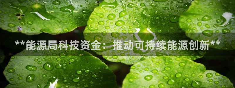 sunbet游戏官网