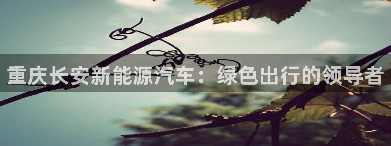 sunbet手机网页版本