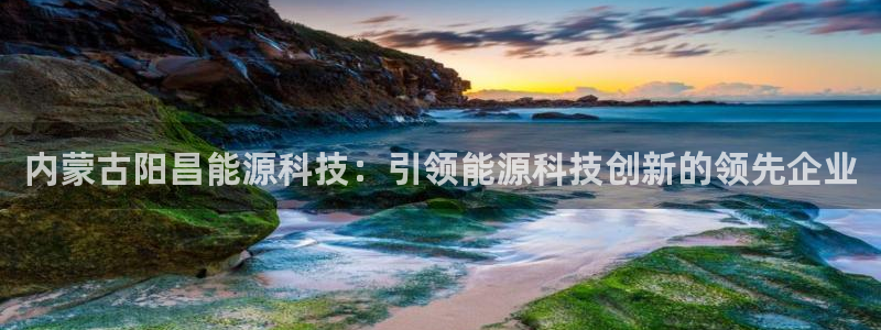 sunbet官网登录首页