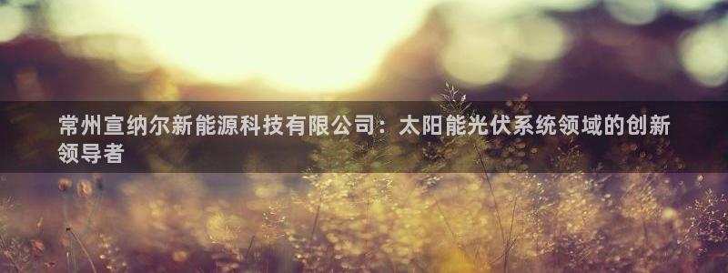 sunbet中文
