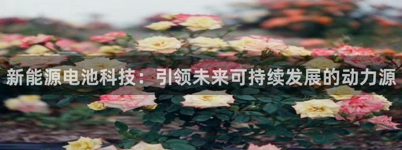 sunbet安卓下载
