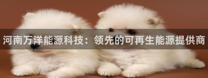 sunbet安卓下载