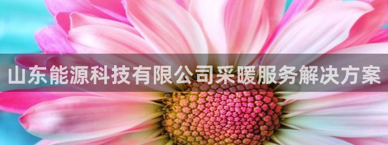 进入sunbet官网手机版登陆