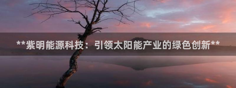 sunbet官网开户登录手机版
