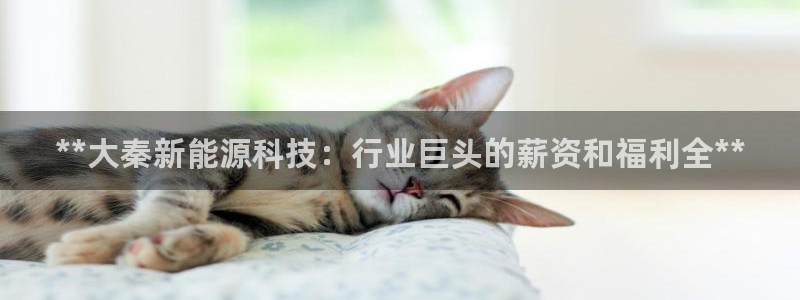 sunbet官网手机版