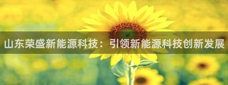 sunbet英语翻译