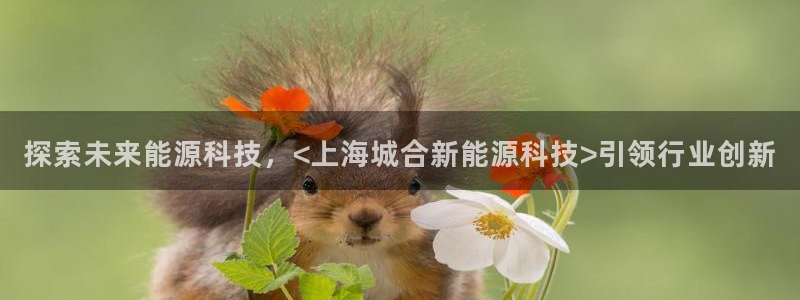申慱sunbet网站