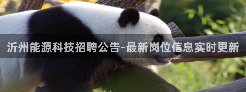 申慱sunbet版app