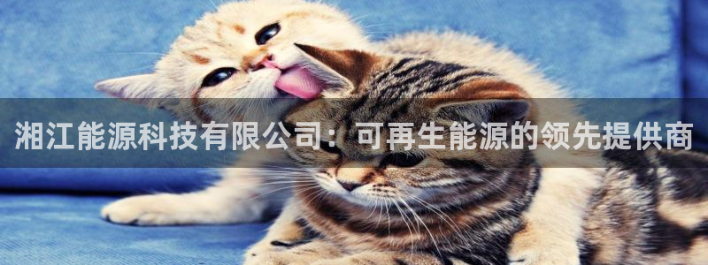sunbet线上真人手机版