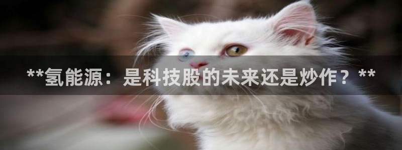 sunbet中文