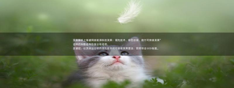 申博官网手机版下载app