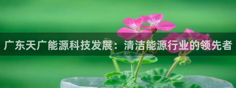 sunbet官网登录首页