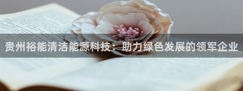sunbet官网代理下载
