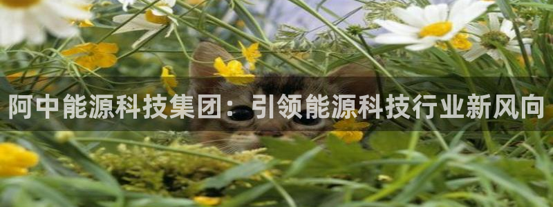 sunbet官网welcome