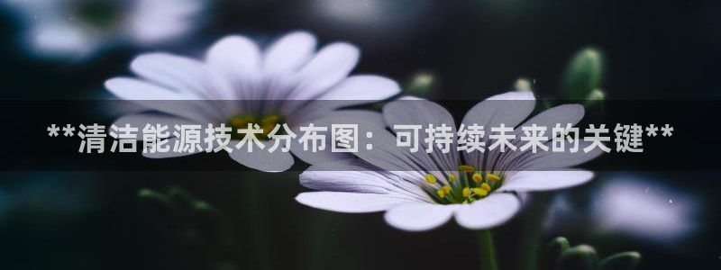 sunbet手机网页版本
