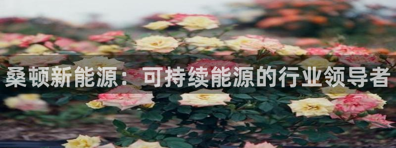 sunbet官网开户登录手机版