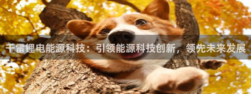 sunbet官网手机版