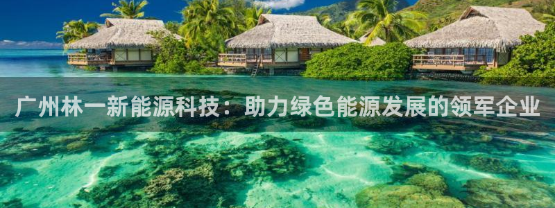 sunbet手机网页版本