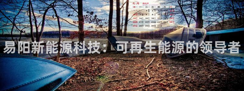 sunbet官网手机版登录