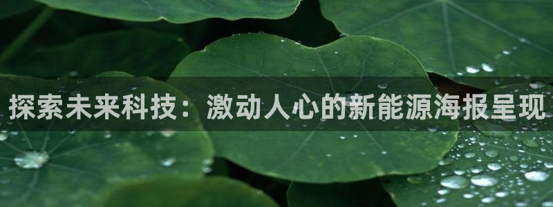 申慱sunbet网站
