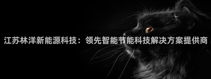sunbet手机版官网下载