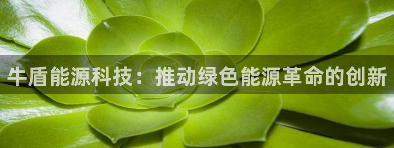 sunbet手机端