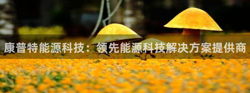 sunbet官网开户登录手机版