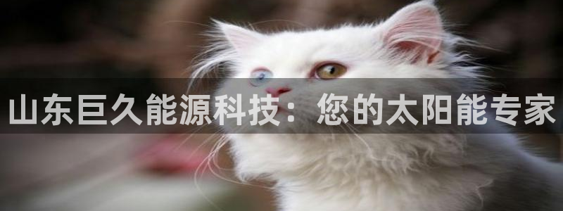 sunbet手机网页版