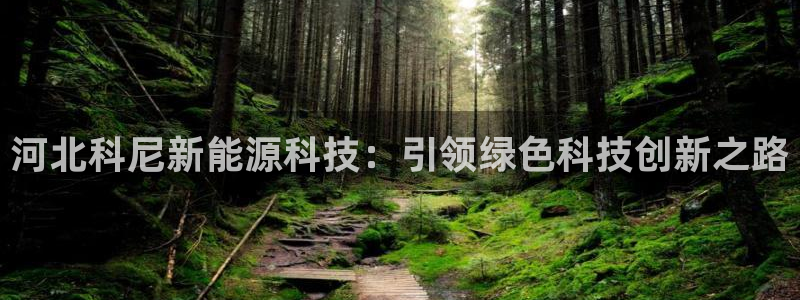sunbet最新消息