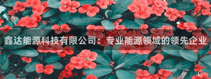 sunbet申搏app下载