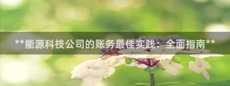 申博官方网站手机版下载