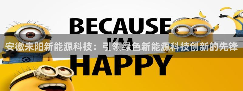 sunbet英语翻译