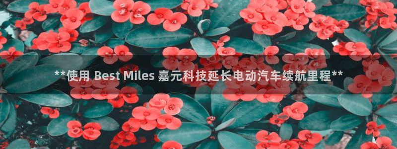 sunbet中文